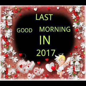 Meet your Posher, Janis